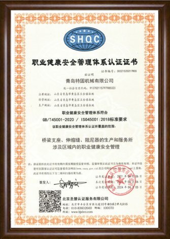 GBT45001-2020   ISO150012018-中